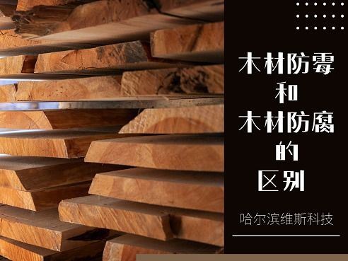 木材防霉与木材防腐的区别 木材防腐剂的作用解析